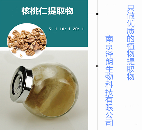 核桃仁提取物 核桃仁提取物